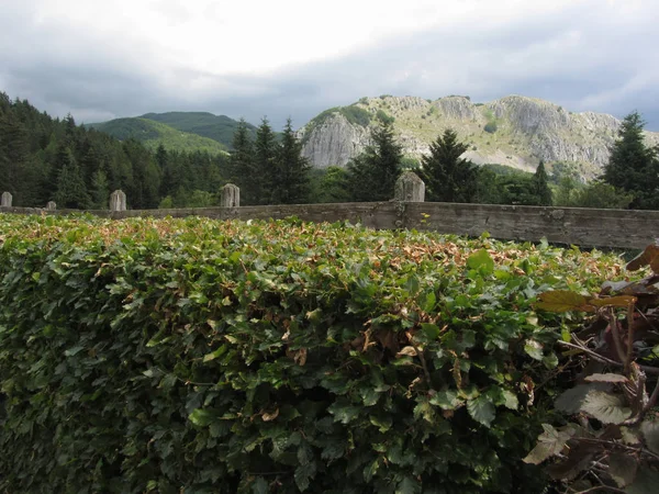 View of the Pania di Corfino mountain from the Orecchiella Nature Park in summer . Lucca, Tuscany, Italy — Stock Photo, Image