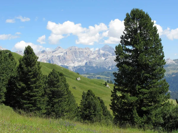 Yaz aylarında İtalyan Dolomitleri 'nin panoramik dağ manzarasına sahiptir. Valgardena, South Tyrol, Bolzano, Italya — Stok fotoğraf