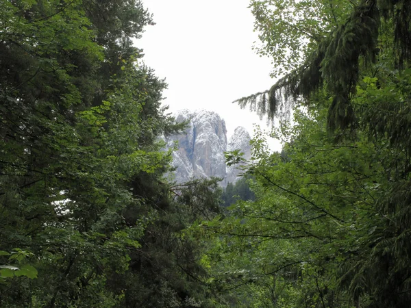 Vista sui boschi delle Dolomiti innevate d'estate. Santa Cristina Valgardena, Alto Adige, Bolzano, Italia — Foto Stock