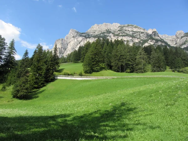 Peisaj alpin cu pășuni verzi și brazi împotriva Dolomiților italieni pe timp de vară. Vedere din satul La Villa, Bolzano, Alto Adige, Tirolul de Sud, Italia — Fotografie, imagine de stoc