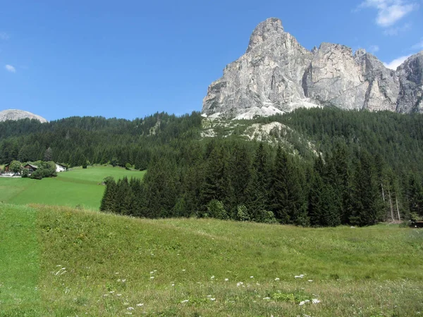 Alpine landscape with green pastures and firs against italian Dolomites at summer . View from La Villa village, Bolzano, Alto Adige, South Tyrol, Italy — Stock Photo, Image