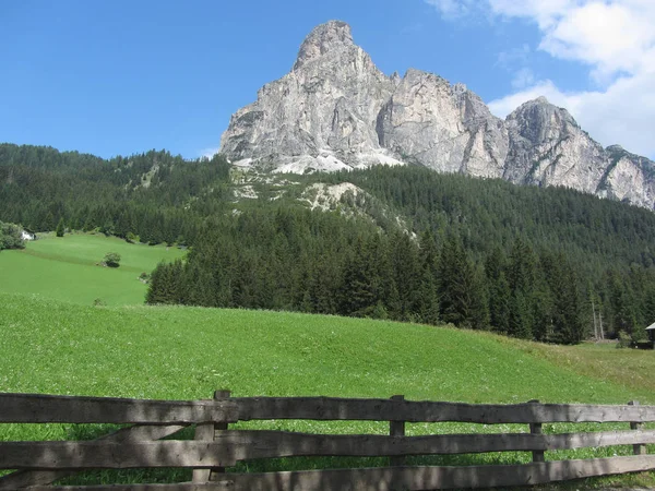 Alpine landskap med grønne enger og firer mot italienske dolomitter om sommeren. Sett fra landsbyen La Villa, Bolzano, Alto Adige, Sør-Tirol, Italia – stockfoto