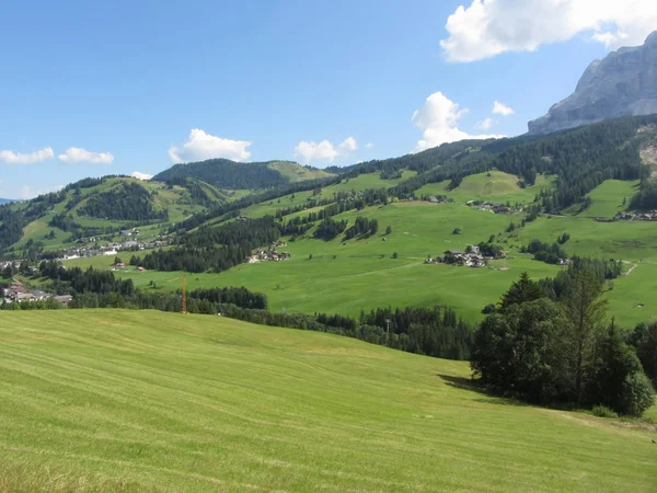 Paysage alpin avec des pâturages verts et des sapins contre les Dolomites italiennes en été. Vue du village de La Villa, Bolzano, Alto Adige, Tyrol du Sud, Italie — Photo