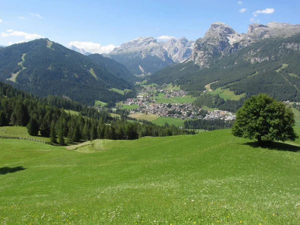 Alpine landscape with La Villa village, green pastures and firs against italian Dolomites at summer . La Villa, Bolzano, Alto Adige, South Tyrol, Italy — Stock Photo, Image