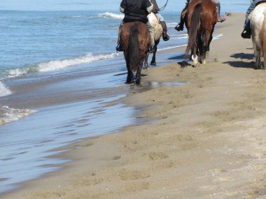Sahilde ata binen adamlar. Akdeniz kıyılarında ata binen at. Toskana, İtalya