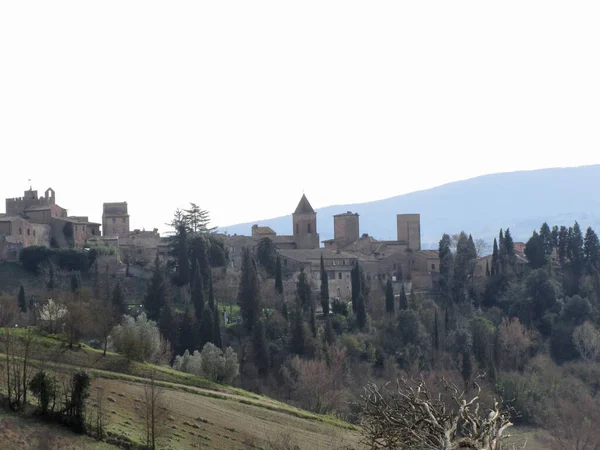Panorama Del Pueblo Certaldo Provincia Florencia Toscana Italia — Foto de Stock