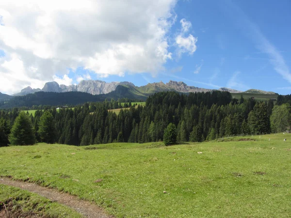 Pastos Alpinos Contra Dolomitas Italianas Verano Tirol Del Sur Bolzano —  Fotos de Stock
