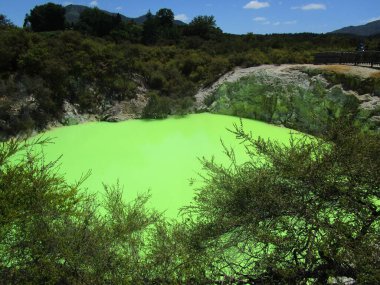 Şeytan banyosu. Wai-O-Tapu 'daki Rotorua Jeotermal Harikası' ndaki yeşil sülfürik havuz. Yeni Zelanda