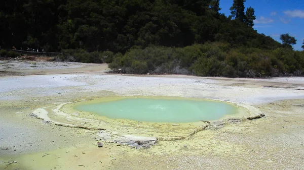 Osztriga Medence Rotorua Geotermikus Csodában Wai Tapu Ban Zéland — Stock Fotó
