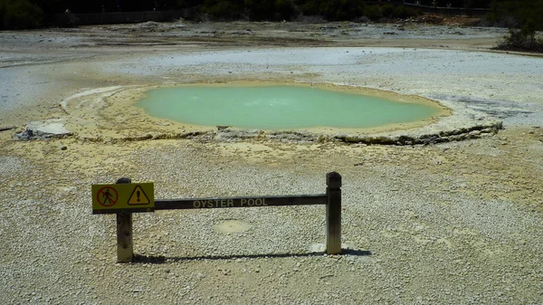 Oyster Pool Rotorua Geothermal Wonder Wai Tapu New Zealand — Stock Photo, Image