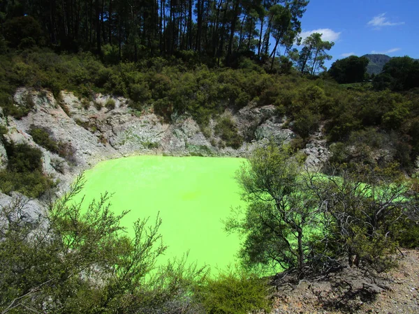 Şeytan banyosu. Wai-O-Tapu 'daki Rotorua Jeotermal Harikası' ndaki yeşil sülfürik havuz. Yeni Zelanda