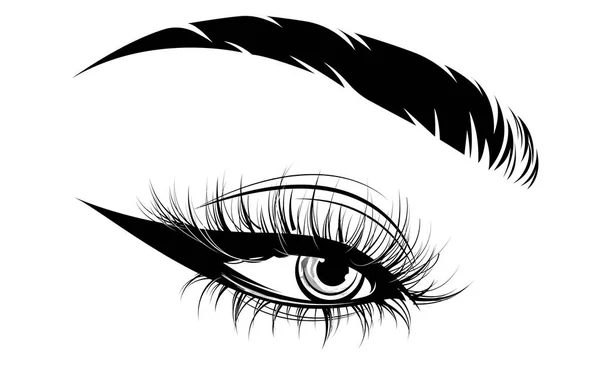 Ilustración Maquillaje Ojos Ceja Sobre Fondo Blanco — Vector de stock