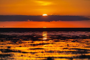 Tayland 'daki Hin Kong Sahili Phangan Adası' ndaki sahil şeridi boyunca deniz ve gün batımı. Şubat 05 2019