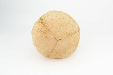 Beyaz arka planda izole edilmiş tropik meyve hindistancevizi.