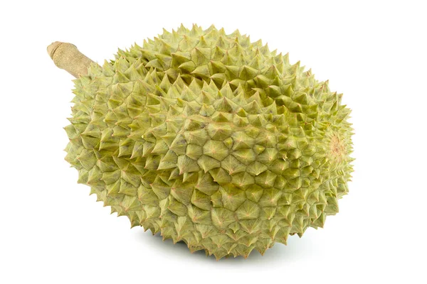 King Fruits Durian Isolated White Background Clipping Paths Oval Spiny — Stock Photo, Image