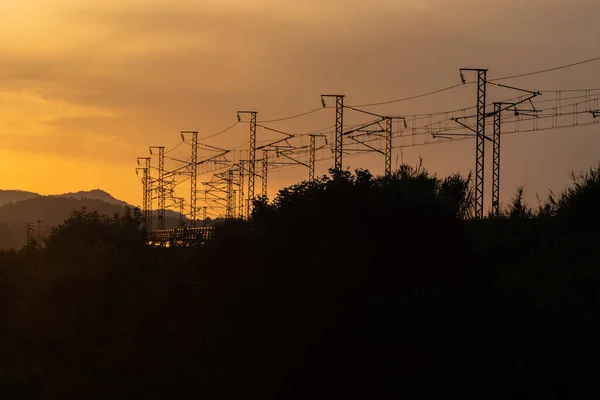 Sunset against the light, landscape of nature, with the posters and power cables of a railway.