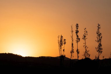 Dağda gün batımının kırmızımsı ve turuncu gölgeli manzarası. Önünde ağaçlar var..