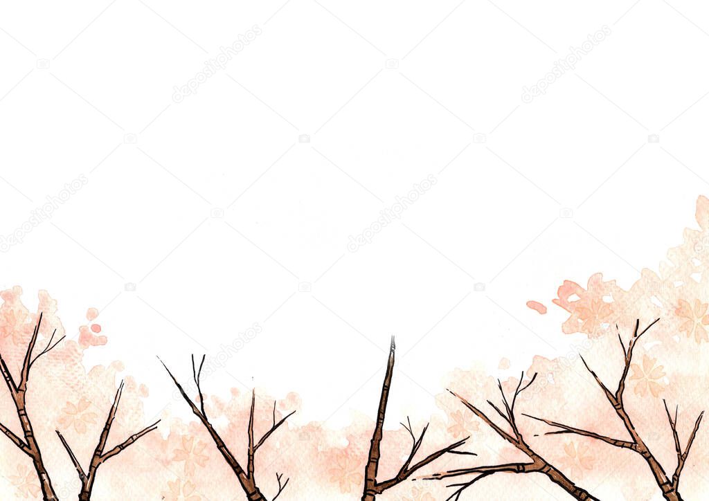 Cherry blossom flower tree watercolor and ink hand painting background with copy space for decoration on spring season.