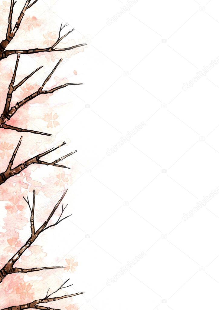 Cherry blossom flower tree watercolor and ink hand painting background with copy space for decoration on spring season.