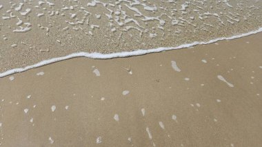 Deniz suyu dalgası ve deniz kabuğu arkaplanlı kumsal yaz tatili ve kıyı konsepti dekorasyonu için.