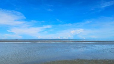 Yaz tatili konseptinde güzel mavi gökyüzü olan huzurlu bir sahil..