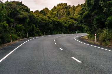 Beyaz iz ve sık orman ile boş asfalt yol görüntüsü