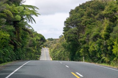 Alt tropikal yağmur ormanlarından geçen tepe yolu görüntüsü