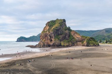 Aslan Kayası ve Piha Sahili 'nin havadan görünüşü