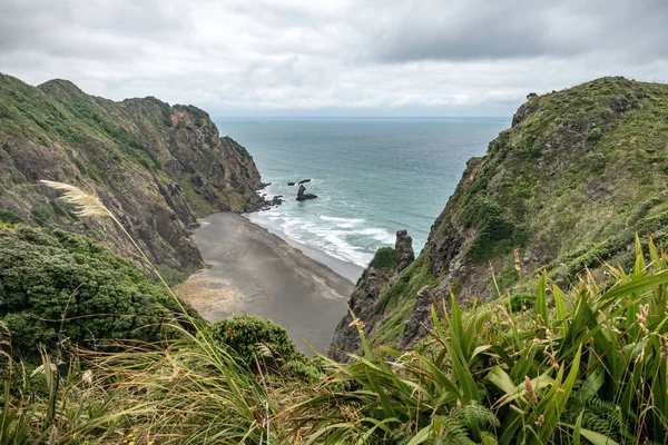 Kilátás Hillary Trail Waitakere Ranges Regionális Park — Stock Fotó