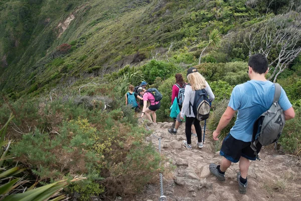 Auckland / Yeni Zelanda - 2 Ocak 2020: Comans Pisti 'nde yürüyen turist görüntüsü