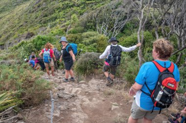 Auckland / Yeni Zelanda - 2 Ocak 2020: Comans Pisti 'nde yürüyen turist görüntüsü