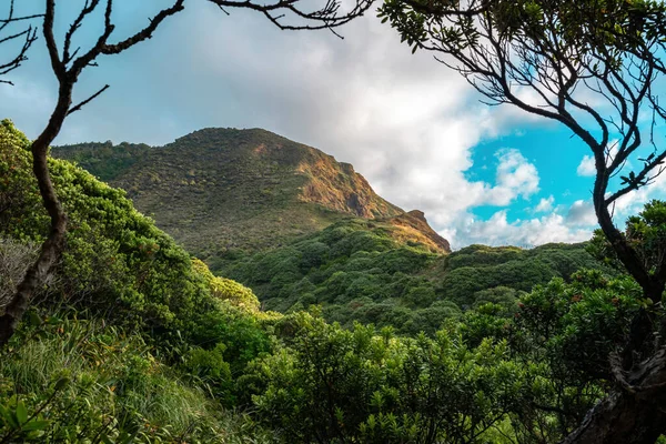 Hikurangi Takatu 'nun Piha' daki baş dağı görüntüsü