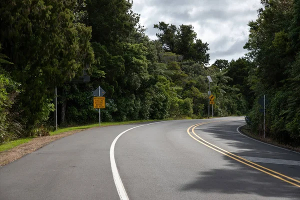 View Empty Asphalt Road Turn Yellow Signs Dense Forest — Stock Photo, Image