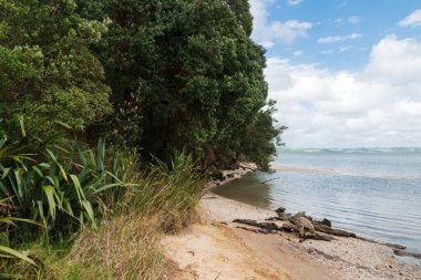Kaipara 'daki kumlu küçük körfez manzarası.