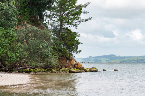 View of sandstone cliff with trees at Kaipara