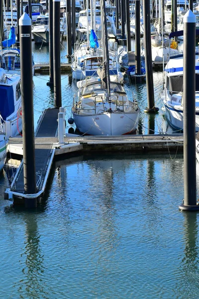 Auckland Nueva Zelanda Junio 2020 Vista Del Puerto Deportivo Barcos —  Fotos de Stock