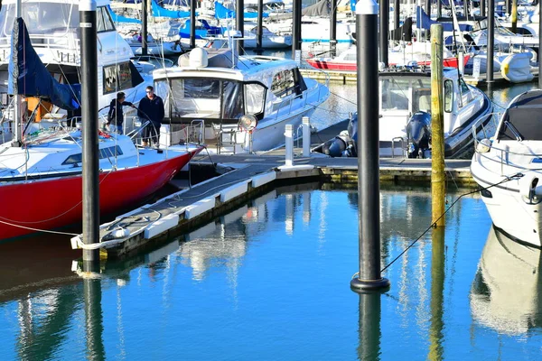 Auckland Nový Zéland Června 2020 Pohled Přístav Half Moon Bay — Stock fotografie