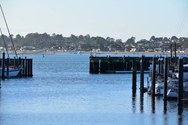 Auckland / Yeni Zelanda - 23 Haziran 2020: Half Moon Körfezi yat limanı ve tekneleri