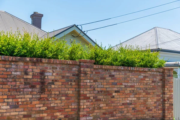 Auckland Nueva Zelanda Diciembre 2019 Vista Casas Típicas Centro Auckland —  Fotos de Stock