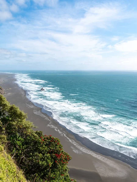 Vista Aérea Karekare Praia Pohutukawa Árvore Primeiro Plano — Fotografia de Stock