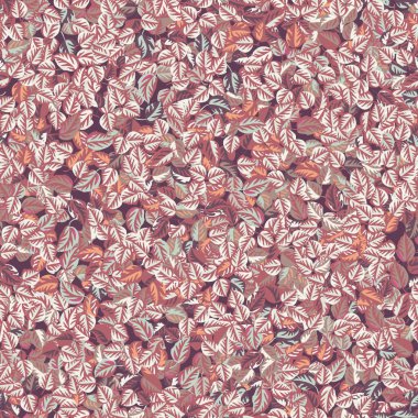  Sonbahar yapraklarının eko baskısı. Kül yapraklarında, huş ağacında, kusursuz çiçek deseni. Kumaş, kumaş tasarımı, kapaklar, imalat, duvar kağıtları, baskı, hediye paketi ve yapıştırma kitabı için basit bir arkaplan.