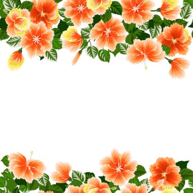 Kırmızı amberin tropikal çiçeklerinde kusursuz bir sınır. Tasarım, kartlar, davetiyeler, posterler, takvimler için egzotik bir arka plan. Metin için yer.
