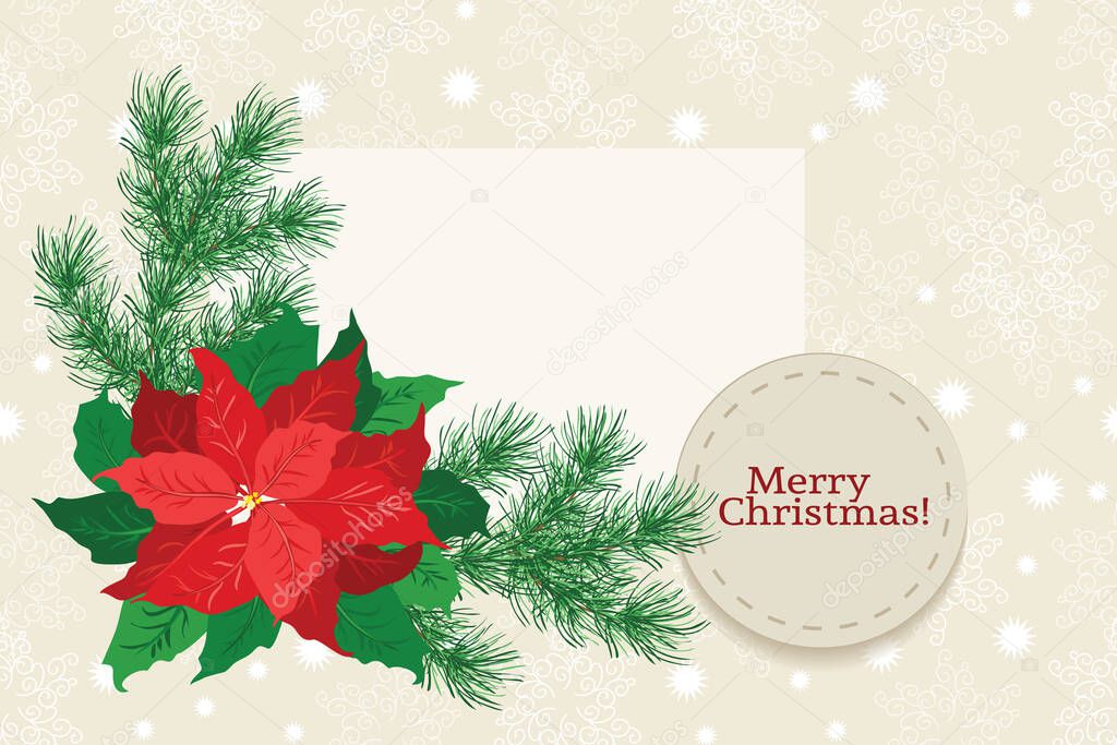 Floral vintage invitation card in poinsettia, Christmas tree twigs, herbs. Winter background. Greeting card template. Design artwork for the poster, wedding invitation. Place for text. Raster copy