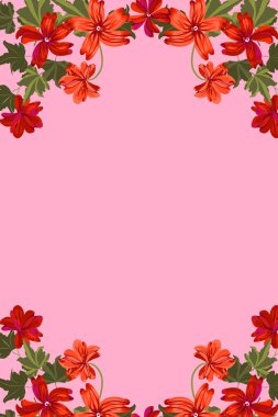  Yaban ördeği çiçekleri çerçevesi. Tebrik kartı, davetiye şablonu. Poster, davetiye, takvimler için tasarım. Metin için yer.