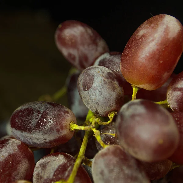 Photo Clé Basse Fraîcheur Fruit Raisins Violets Gros Plan Sur — Photo