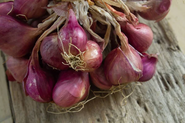 Fresh Purple Shallot Group Πρώτες Βοτάνων Φυτικές Ύλες Κοντινό Πλάνο — Φωτογραφία Αρχείου