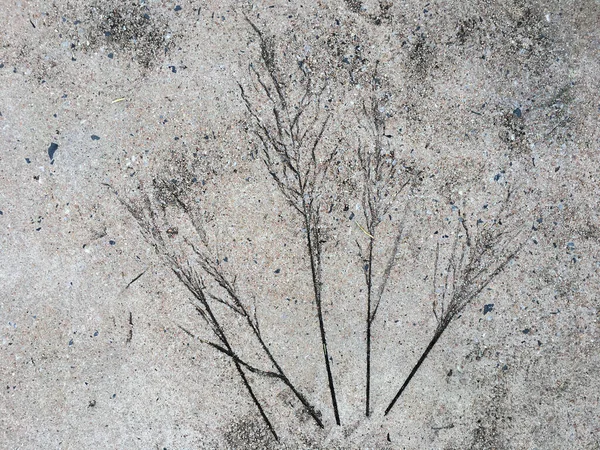 Старый Цементная Стена Крупный План Разбитая Текстура Серый Цвет Деталь — стоковое фото