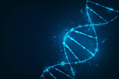 Bilim şablonu, duvar kağıdı ya da DNA moleküllü pankart. Vektör illüstrasyonu