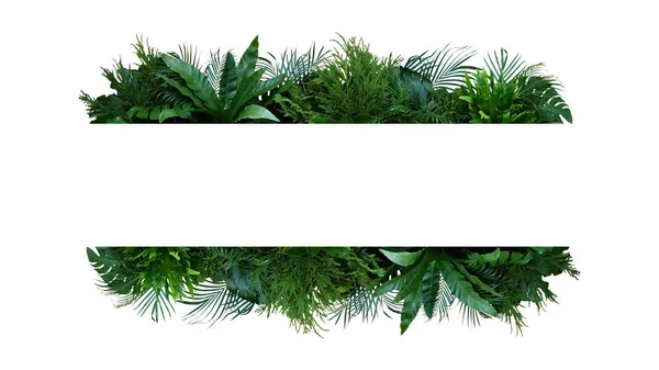 Foglie Verdi Disposizione Cornice Naturale Piante Tropicali Cespuglio Monstera Palma — Foto Stock