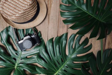 Tropikal doğanın düz çerçevesi Monstera 'yı eski kamera, şapka, tropikal orman tatili ve seyahat kavramlarıyla kırsal ahşap grunge arka planında bırakır..
